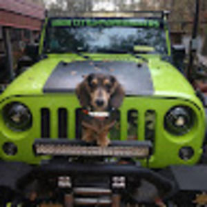 Meet your Posher, Marian